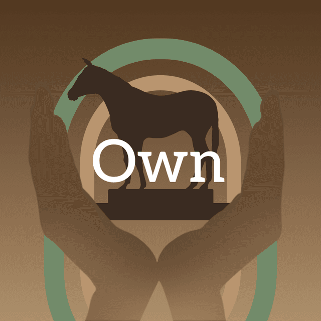 O logo